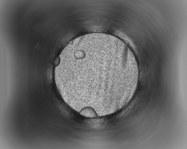 X0000096140065200802151342