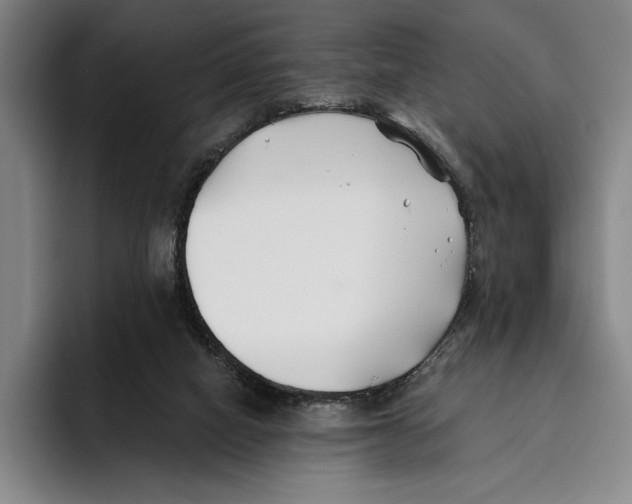 X0000096140066200802151342