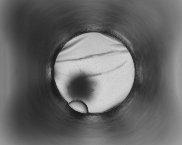 X0000096140067200802151342