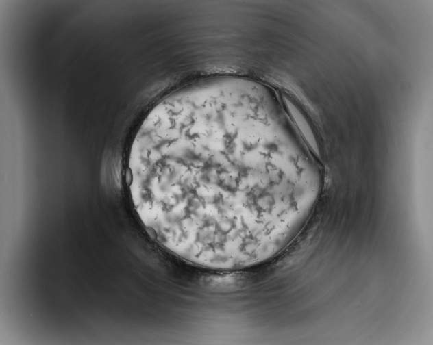 X0000096140068200802151342
