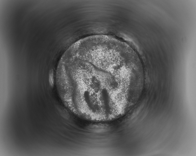 X0000096140069200802151342