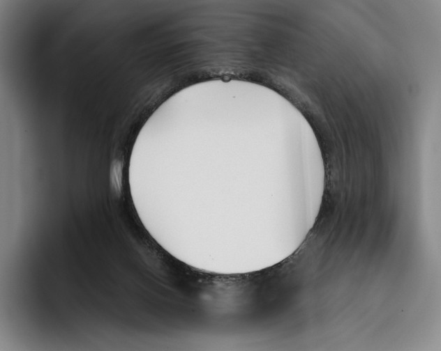 X0000096140070200802151342