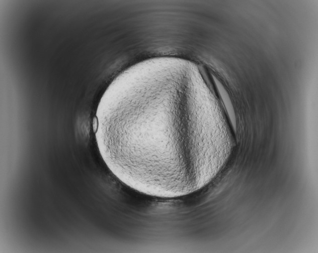 X0000096140072200802151342