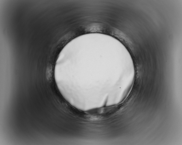 X0000096140073200802151343