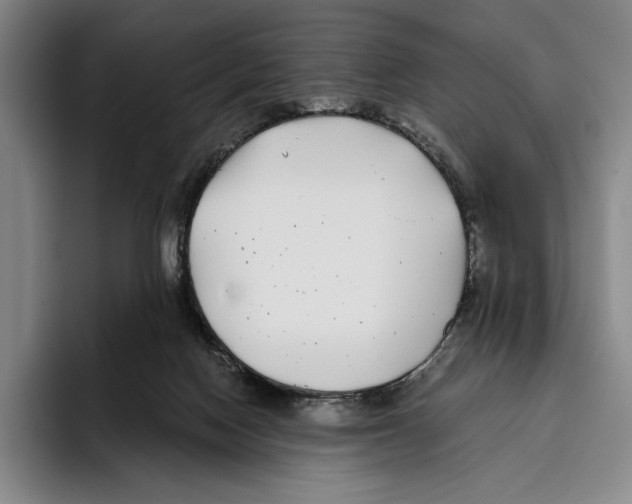 X0000096140074200802151343