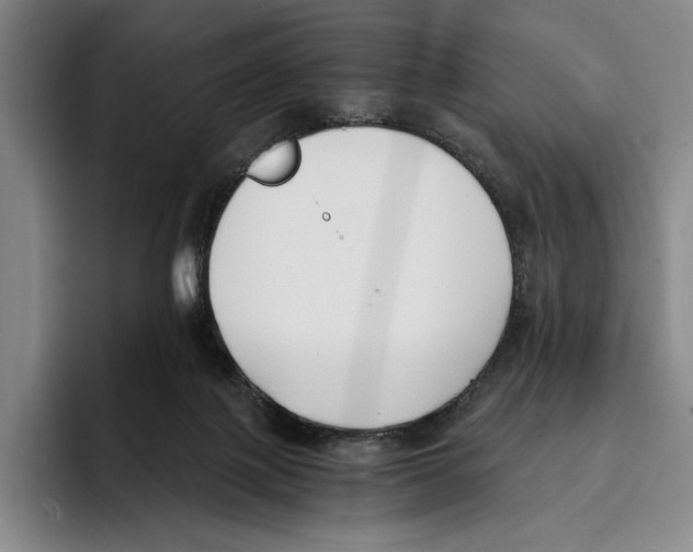 X0000096140075200802151343