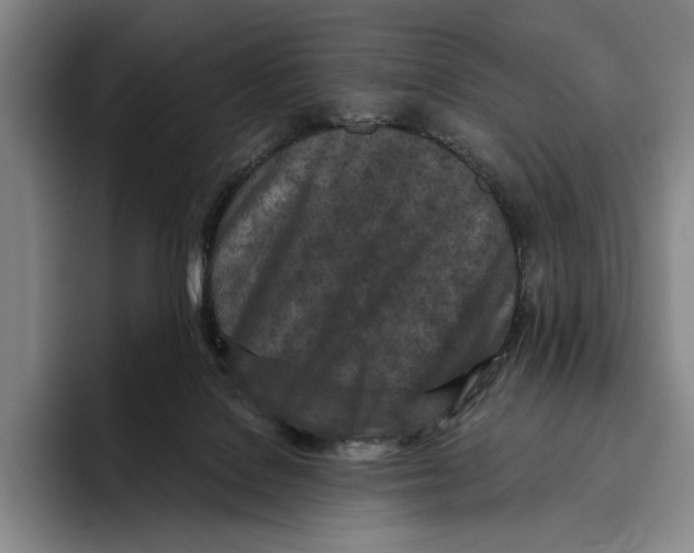 X0000096140076200802151343