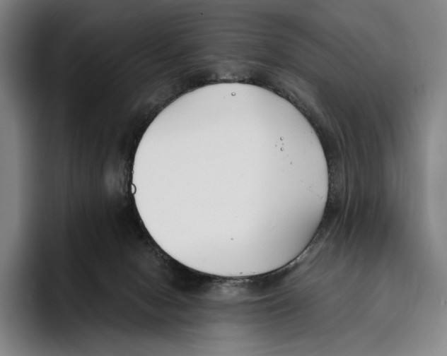 X0000096140078200802151343
