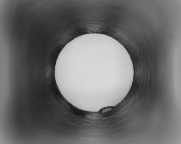 X0000096140079200802151343