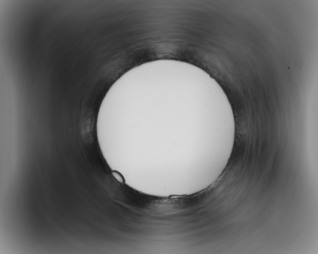 X0000096140082200802151343
