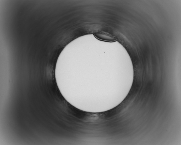 X0000096140083200802151343