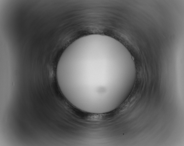 X0000096140084200802151343