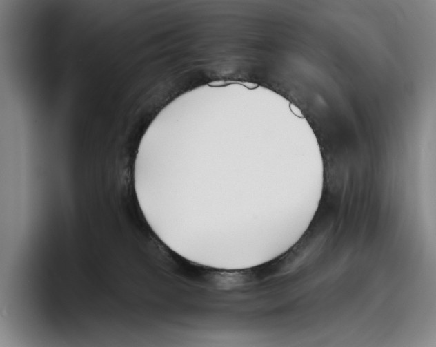 X0000096140085200802151343