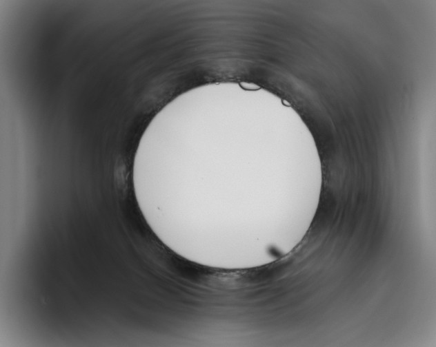 X0000096140086200802151343