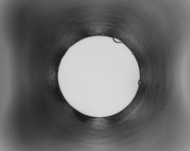 X0000096140087200802151343