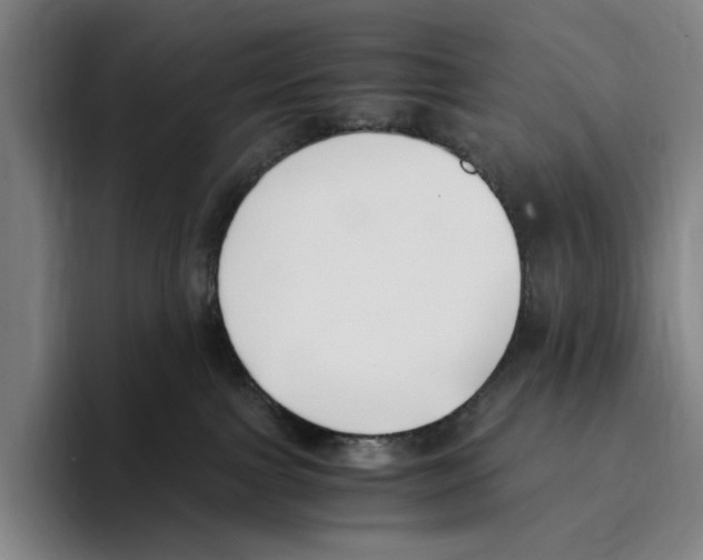 X0000096140091200802151343