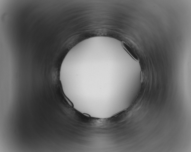 X0000096140092200802151343