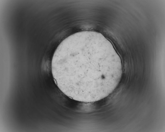 X0000096140093200802151343