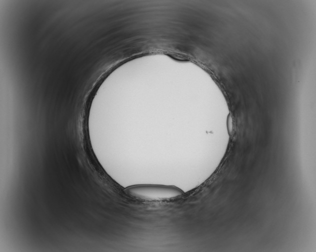 X0000096140098200802151342