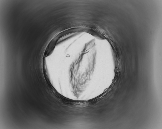 X0000096140099200802151342
