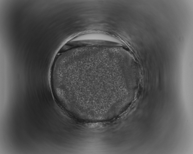 X0000096140100200802151342