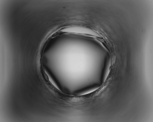 X0000096140101200802151342