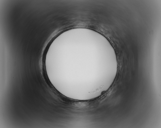 X0000096140102200802151342