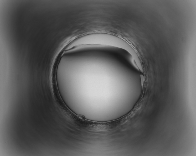 X0000096140104200802151342
