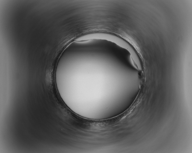 X0000096140105200802151342