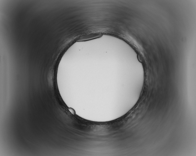 X0000096140107200802151342