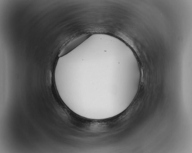X0000096140109200802151342