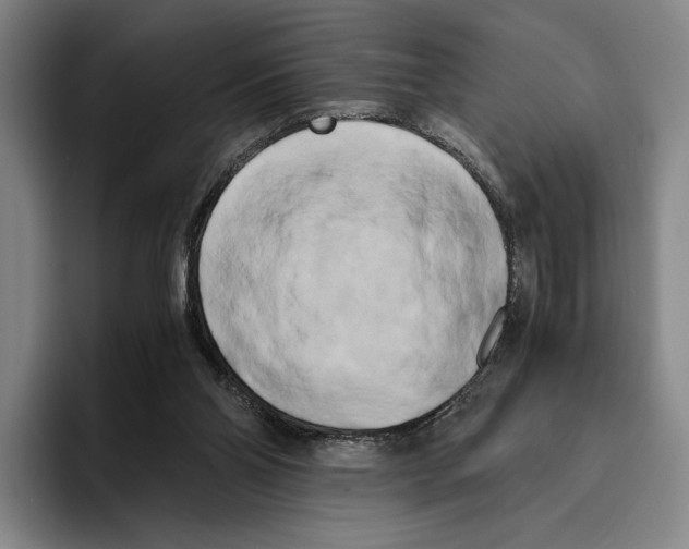 X0000096140110200802151342
