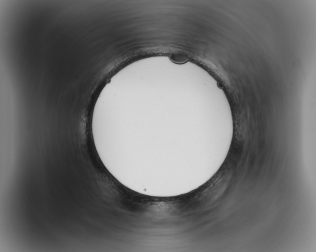 X0000096140111200802151342
