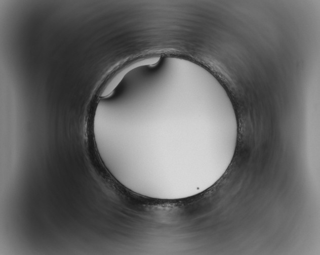 X0000096140112200802151342