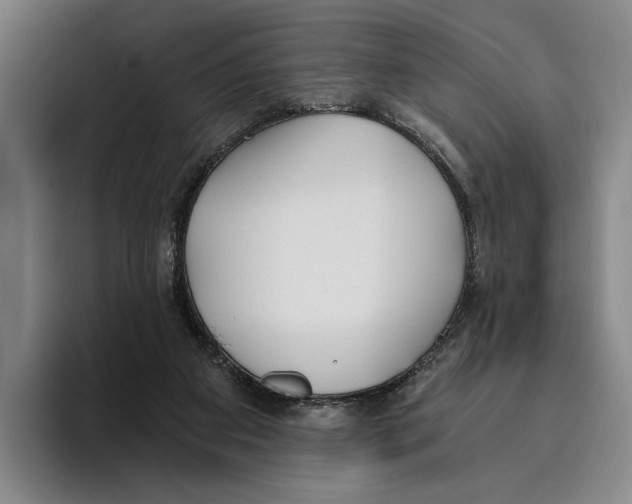 X0000096140113200802151342