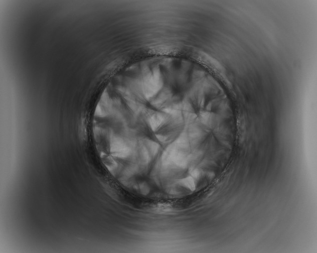 X0000096140114200802151342