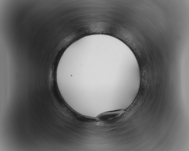X0000096140116200802151342
