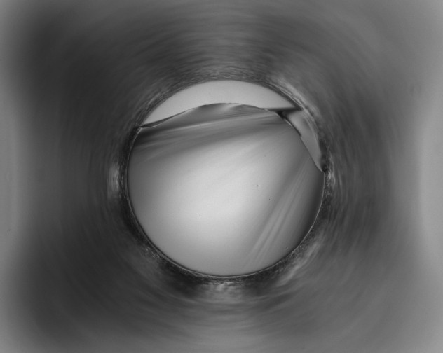 X0000096140117200802151342
