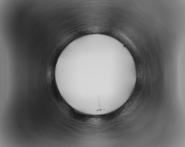 X0000096140119200802151342