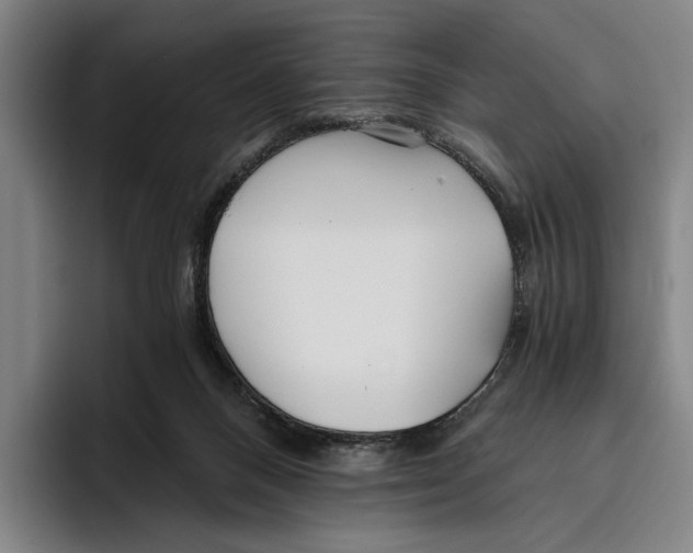 X0000096140120200802151342