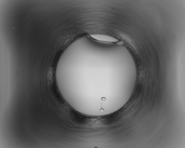 X0000096140121200802151342