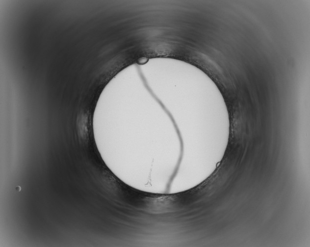 X0000096140122200802151342