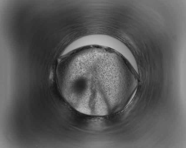 X0000096140124200802151342
