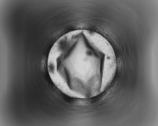 X0000096140127200802151342