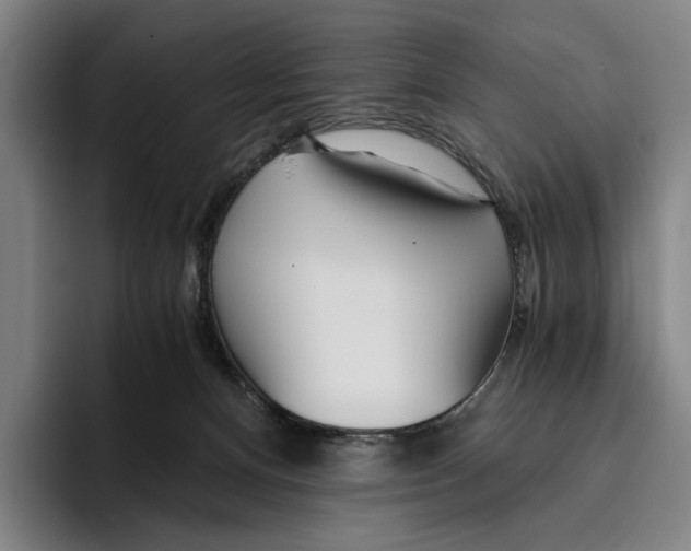 X0000096140128200802151342