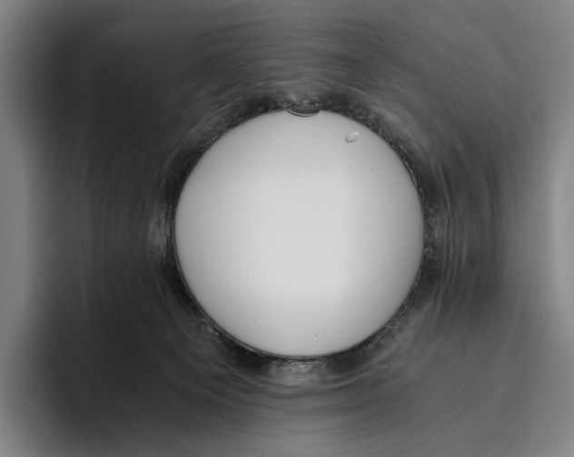 X0000096140129200802151342