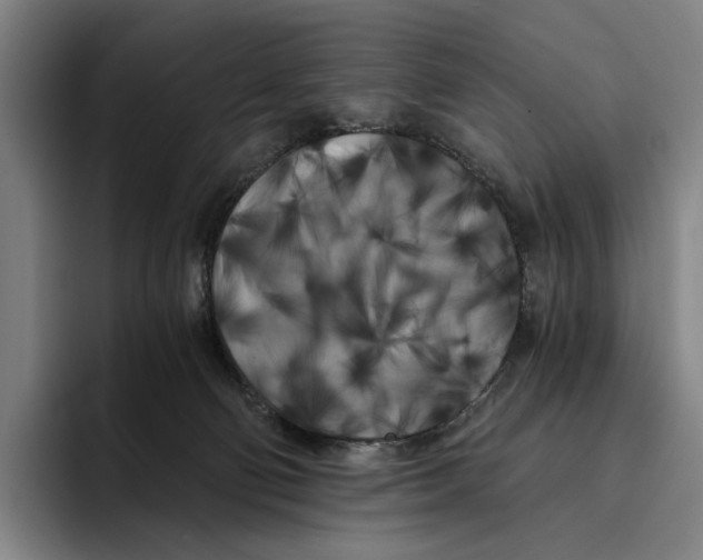 X0000096140130200802151342