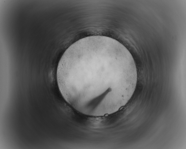 X0000096140131200802151342