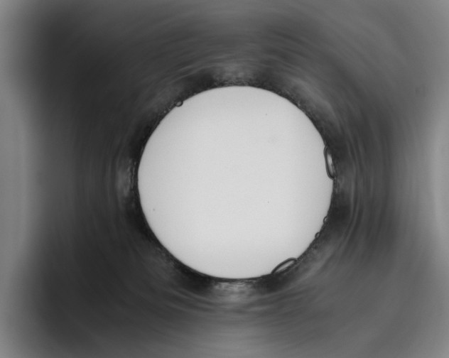 X0000096140133200802151342