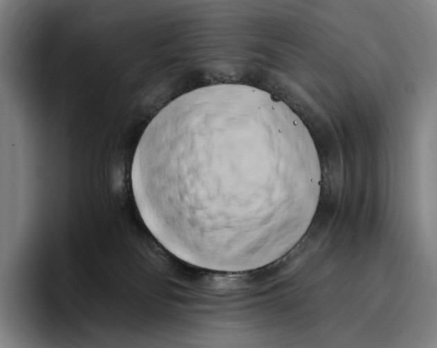 X0000096140134200802151342